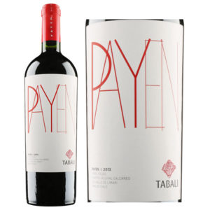 Vang Chile nhập khẩu Tabali Payen cao cấp