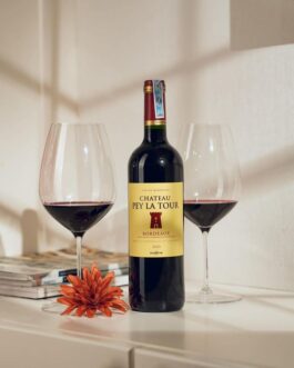 Rượu vang Pháp Château Pey La Tour 2020